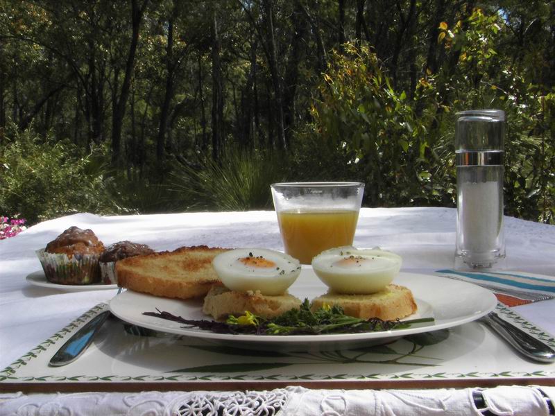 Loaring
                    Place B&B Breakfast Poached eggs and bacon